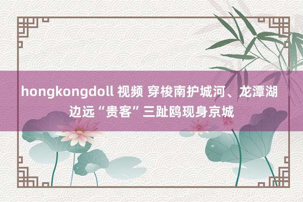 hongkongdoll 视频 穿梭南护城河、龙潭湖 边远“贵客”三趾鸥现身京城
