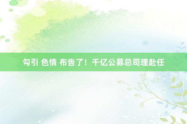 勾引 色情 布告了！千亿公募总司理赴任