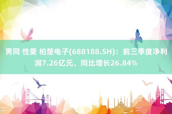 男同 性愛 柏楚电子(688188.SH)：前三季度净利润7.26亿元，同比增长26.84%