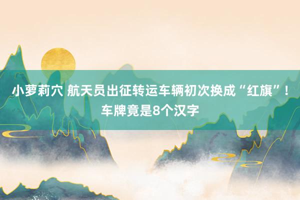 小萝莉穴 航天员出征转运车辆初次换成“红旗”！车牌竟是8个汉字