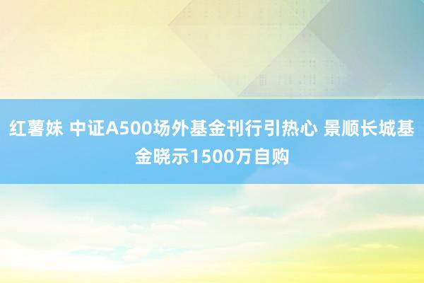 红薯妹 中证A500场外基金刊行引热心 景顺长城基金晓示1500万自购