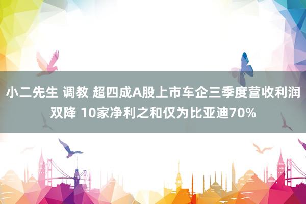 小二先生 调教 超四成A股上市车企三季度营收利润双降 10家净利之和仅为比亚迪70%