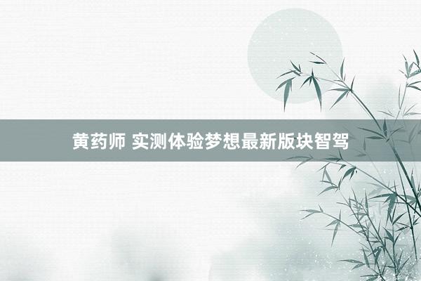 黄药师 实测体验梦想最新版块智驾