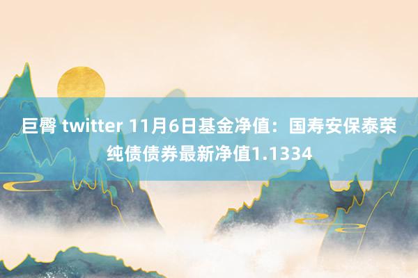 巨臀 twitter 11月6日基金净值：国寿安保泰荣纯债债券最新净值1.1334