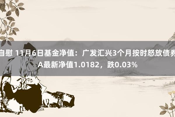 自慰 11月6日基金净值：广发汇兴3个月按时怒放债券A最新净值1.0182，跌0.03%