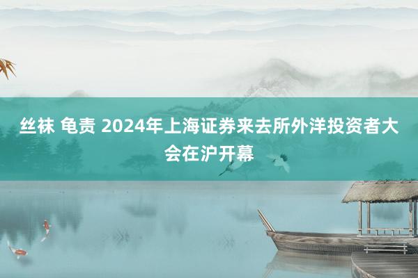丝袜 龟责 2024年上海证券来去所外洋投资者大会在沪开幕