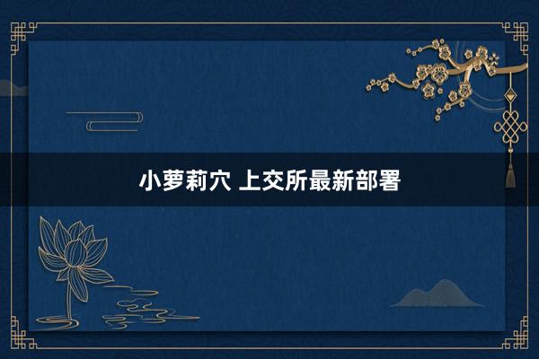 小萝莉穴 上交所最新部署