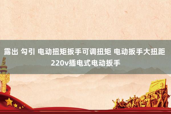 露出 勾引 电动扭矩扳手可调扭矩 电动扳手大扭距 220v插电式电动扳手