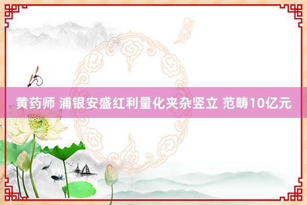 黄药师 浦银安盛红利量化夹杂竖立 范畴10亿元
