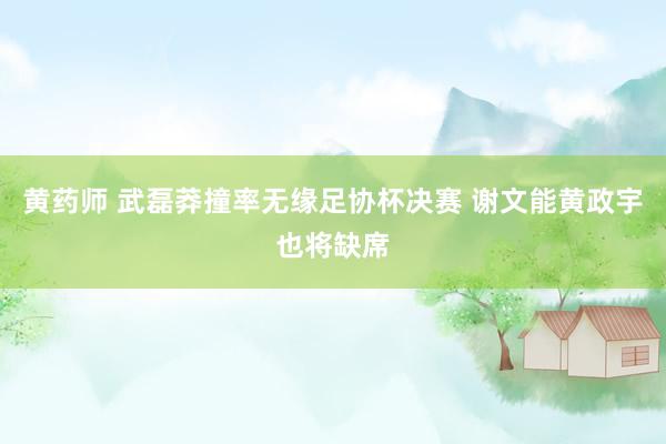 黄药师 武磊莽撞率无缘足协杯决赛 谢文能黄政宇也将缺席