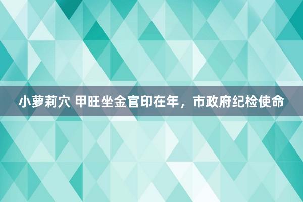 小萝莉穴 甲旺坐金官印在年，市政府纪检使命