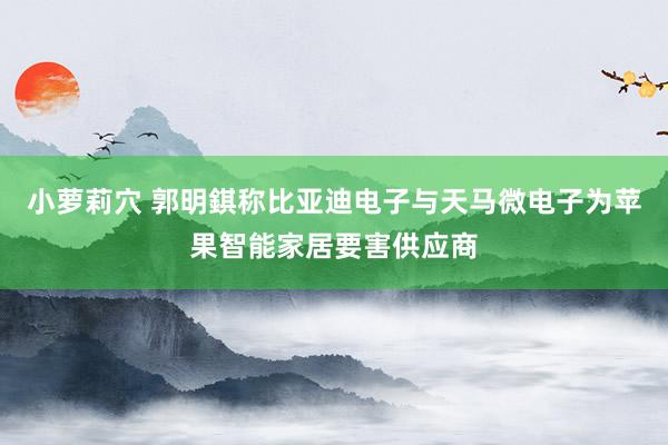 小萝莉穴 郭明錤称比亚迪电子与天马微电子为苹果智能家居要害供应商
