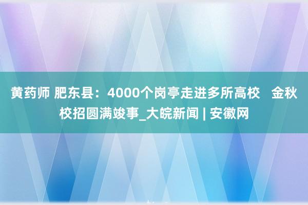 黄药师 肥东县：4000个岗亭走进多所高校   金秋校招圆满竣事_大皖新闻 | 安徽网