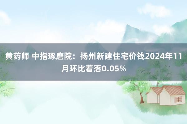 黄药师 中指琢磨院：扬州新建住宅价钱2024年11月环比着落0.05%