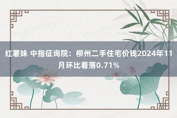 红薯妹 中指征询院：柳州二手住宅价钱2024年11月环比着落0.71%