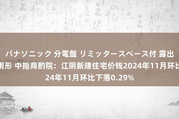 パナソニック 分電盤 リミッタースペース付 露出・半埋込両用形 中指商酌院：江阴新建住宅价钱2024年11月环比下落0.29%