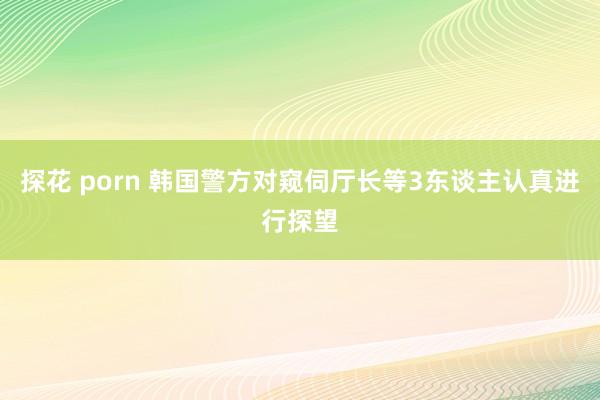 探花 porn 韩国警方对窥伺厅长等3东谈主认真进行探望