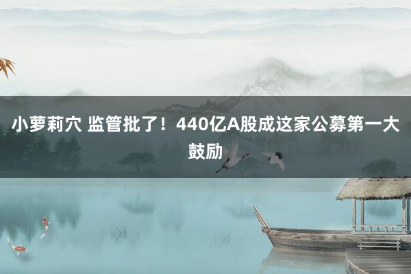小萝莉穴 监管批了！440亿A股成这家公募第一大鼓励