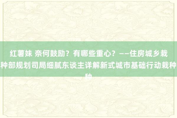 红薯妹 奈何鼓励？有哪些重心？——住房城乡栽种部规划司局细腻东谈主详解新式城市基础行动栽种