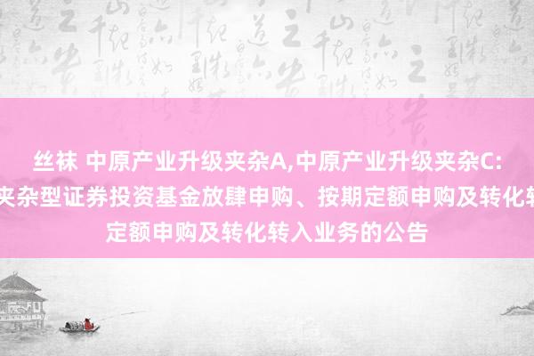 丝袜 中原产业升级夹杂A,中原产业升级夹杂C: 中原产业升级夹杂型证券投资基金放肆申购、按期定额申购及转化转入业务的公告