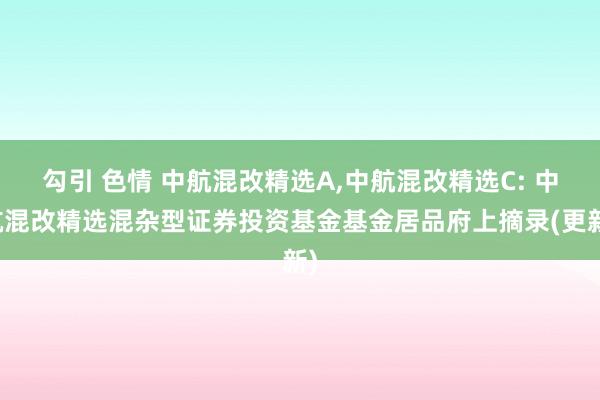勾引 色情 中航混改精选A,中航混改精选C: 中航混改精选混杂型证券投资基金基金居品府上摘录(更新)