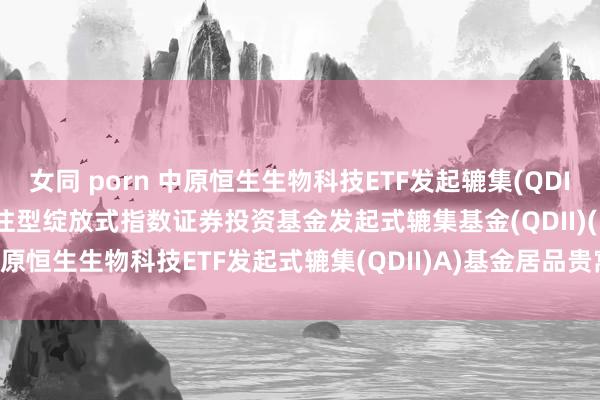 女同 porn 中原恒生生物科技ETF发起辘集(QDII)A: 中原恒生生物科技来往型绽放式指数证券投资基金发起式辘集基金(QDII)(中原恒生生物科技ETF发起式辘集(QDII)A)基金居品贵寓摘记更新(2024-12-09)