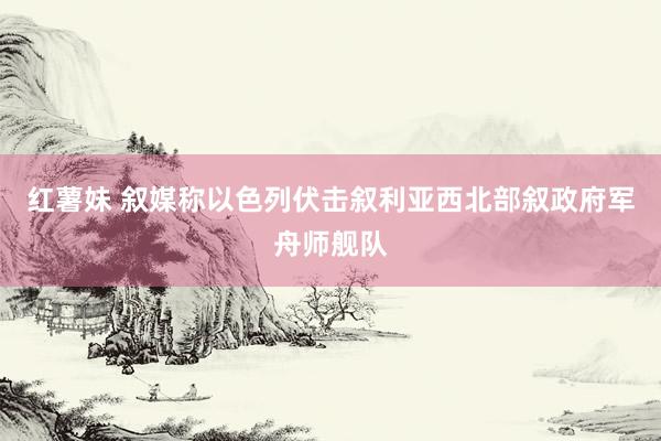 红薯妹 叙媒称以色列伏击叙利亚西北部叙政府军舟师舰队