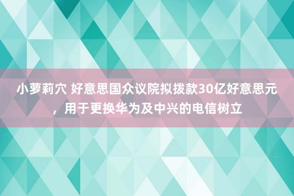 小萝莉穴 好意思国众议院拟拨款30亿好意思元，用于更换华为及中兴的电信树立