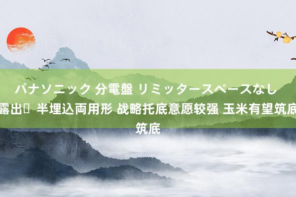 パナソニック 分電盤 リミッタースペースなし 露出・半埋込両用形 战略托底意愿较强 玉米有望筑底