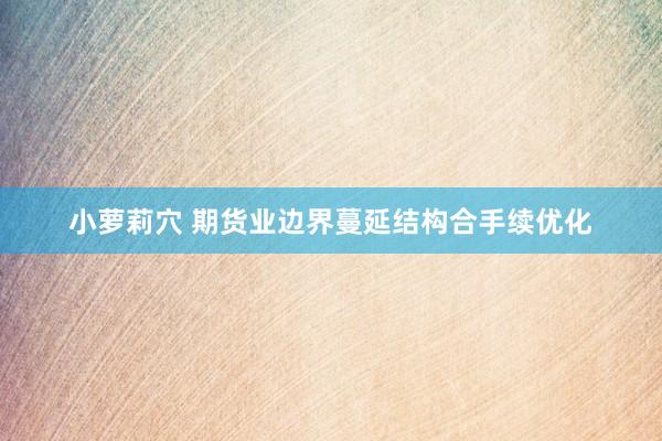 小萝莉穴 期货业边界蔓延结构合手续优化