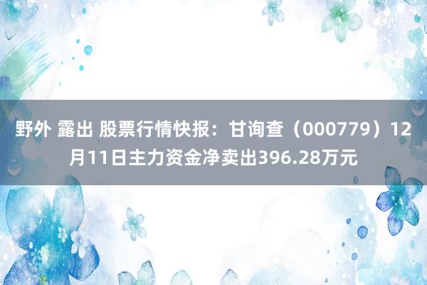 野外 露出 股票行情快报：甘询查（000779）12月11日主力资金净卖出396.28万元