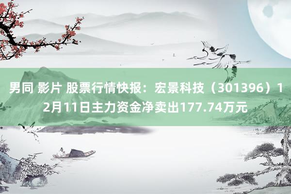 男同 影片 股票行情快报：宏景科技（301396）12月11日主力资金净卖出177.74万元