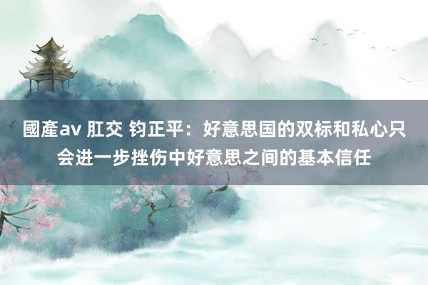 國產av 肛交 钧正平：好意思国的双标和私心只会进一步挫伤中好意思之间的基本信任