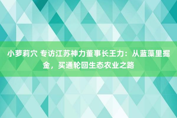 小萝莉穴 专访江苏神力董事长王力：从蓝藻里掘金，买通轮回生态农业之路