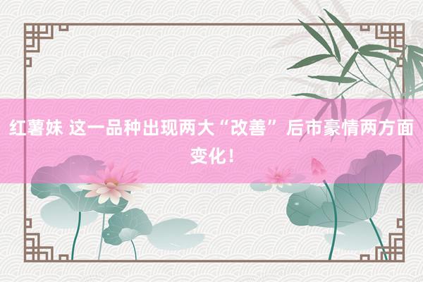 红薯妹 这一品种出现两大“改善” 后市豪情两方面变化！
