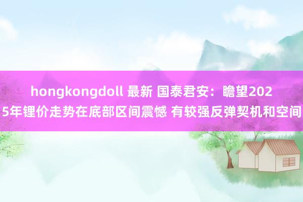hongkongdoll 最新 国泰君安：瞻望2025年锂价走势在底部区间震憾 有较强反弹契机和空间