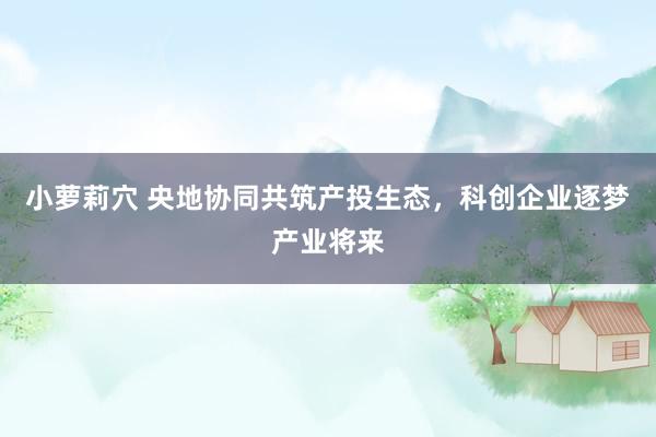 小萝莉穴 央地协同共筑产投生态，科创企业逐梦产业将来