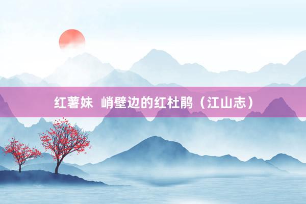 红薯妹  峭壁边的红杜鹃（江山志）