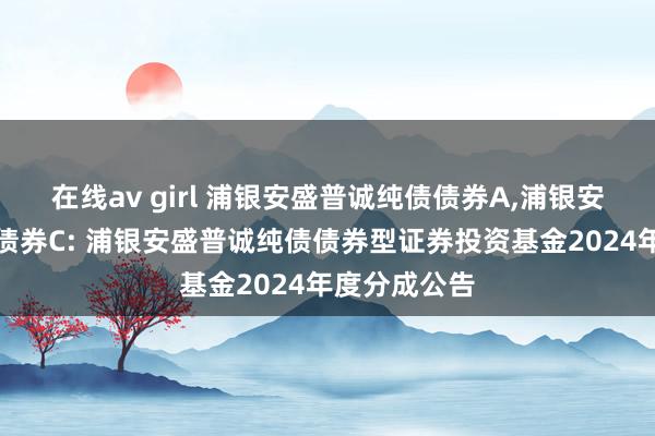 在线av girl 浦银安盛普诚纯债债券A,浦银安盛普诚纯债债券C: 浦银安盛普诚纯债债券型证券投资基金2024年度分成公告