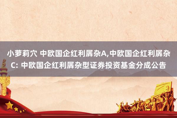 小萝莉穴 中欧国企红利羼杂A,中欧国企红利羼杂C: 中欧国企红利羼杂型证券投资基金分成公告