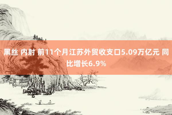 黑丝 内射 前11个月江苏外贸收支口5.09万亿元 同比增长6.9%