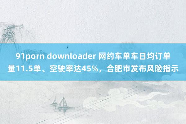 91porn downloader 网约车单车日均订单量11.5单、空驶率达45%，合肥市发布风险指示
