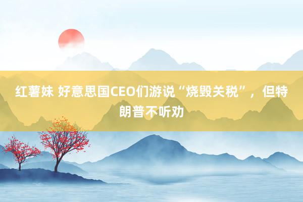 红薯妹 好意思国CEO们游说“烧毁关税”，但特朗普不听劝