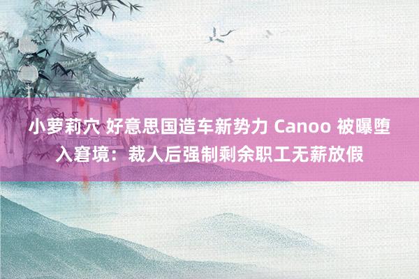 小萝莉穴 好意思国造车新势力 Canoo 被曝堕入窘境：裁人后强制剩余职工无薪放假