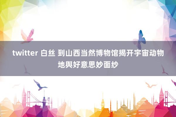 twitter 白丝 到山西当然博物馆揭开宇宙动物地舆好意思妙面纱