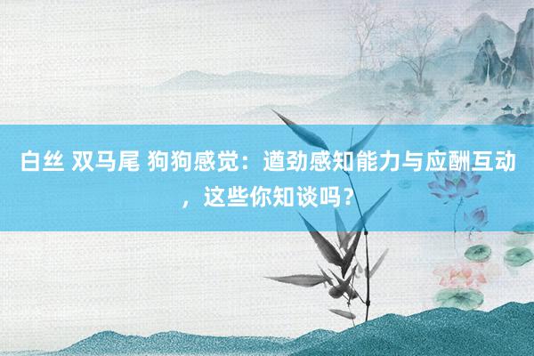 白丝 双马尾 狗狗感觉：遒劲感知能力与应酬互动，这些你知谈吗？