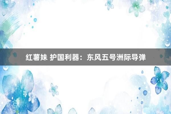 红薯妹 护国利器：东风五号洲际导弹