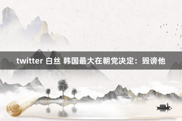 twitter 白丝 韩国最大在朝党决定：毁谤他