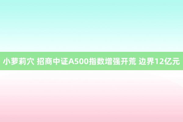小萝莉穴 招商中证A500指数增强开荒 边界12亿元