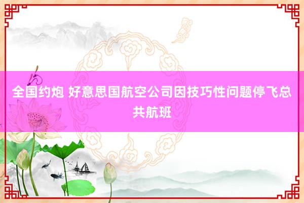 全国约炮 好意思国航空公司因技巧性问题停飞总共航班